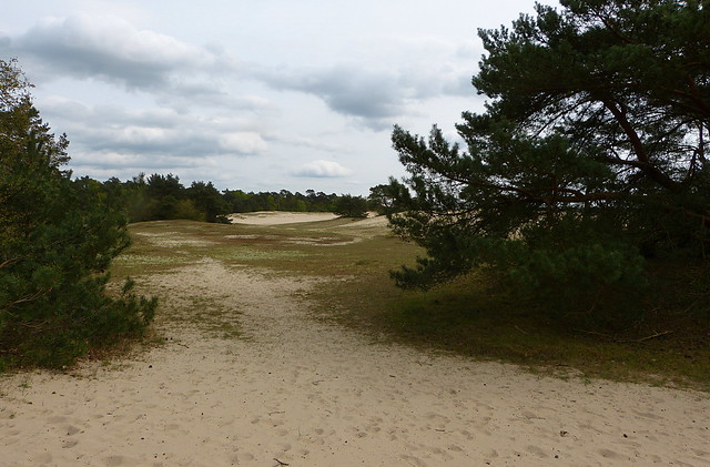 Sand drift De Zoom near Doornspijk