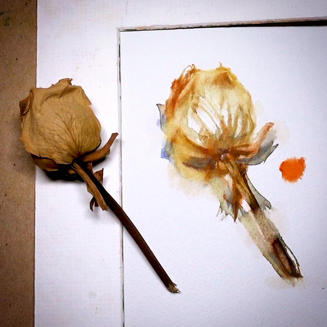 Day 3174. The process of daily rose painting for today.