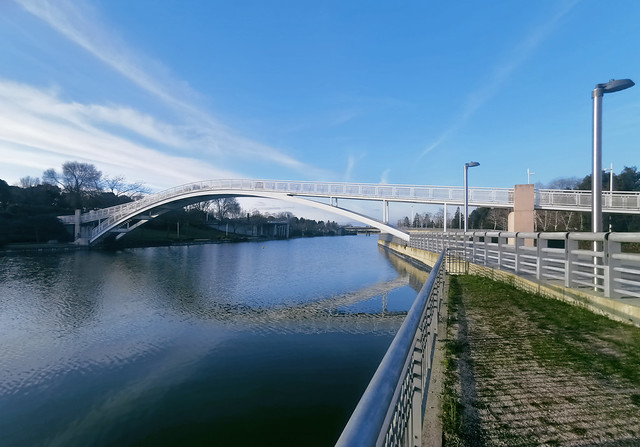 Puente de la Ria estanque Parque Juan Carlos I Madrid