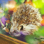 Hedgehog Mural