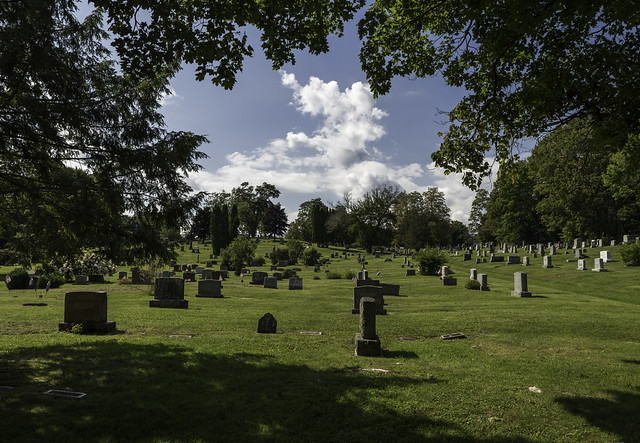 Late Summer in the Cemetery