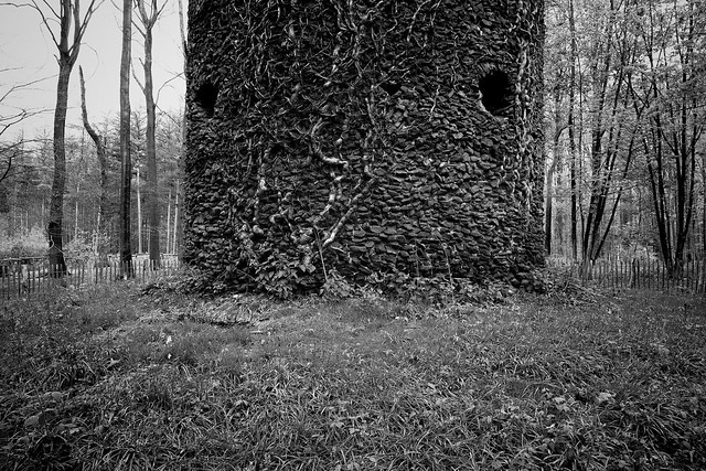 The tower in the forest