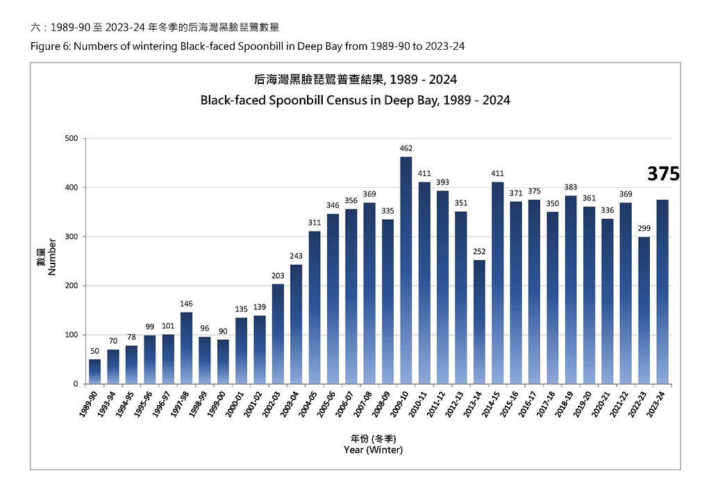 07_1989-90 至2023-24 年冬季的后海灣黑臉琵鷺數量
