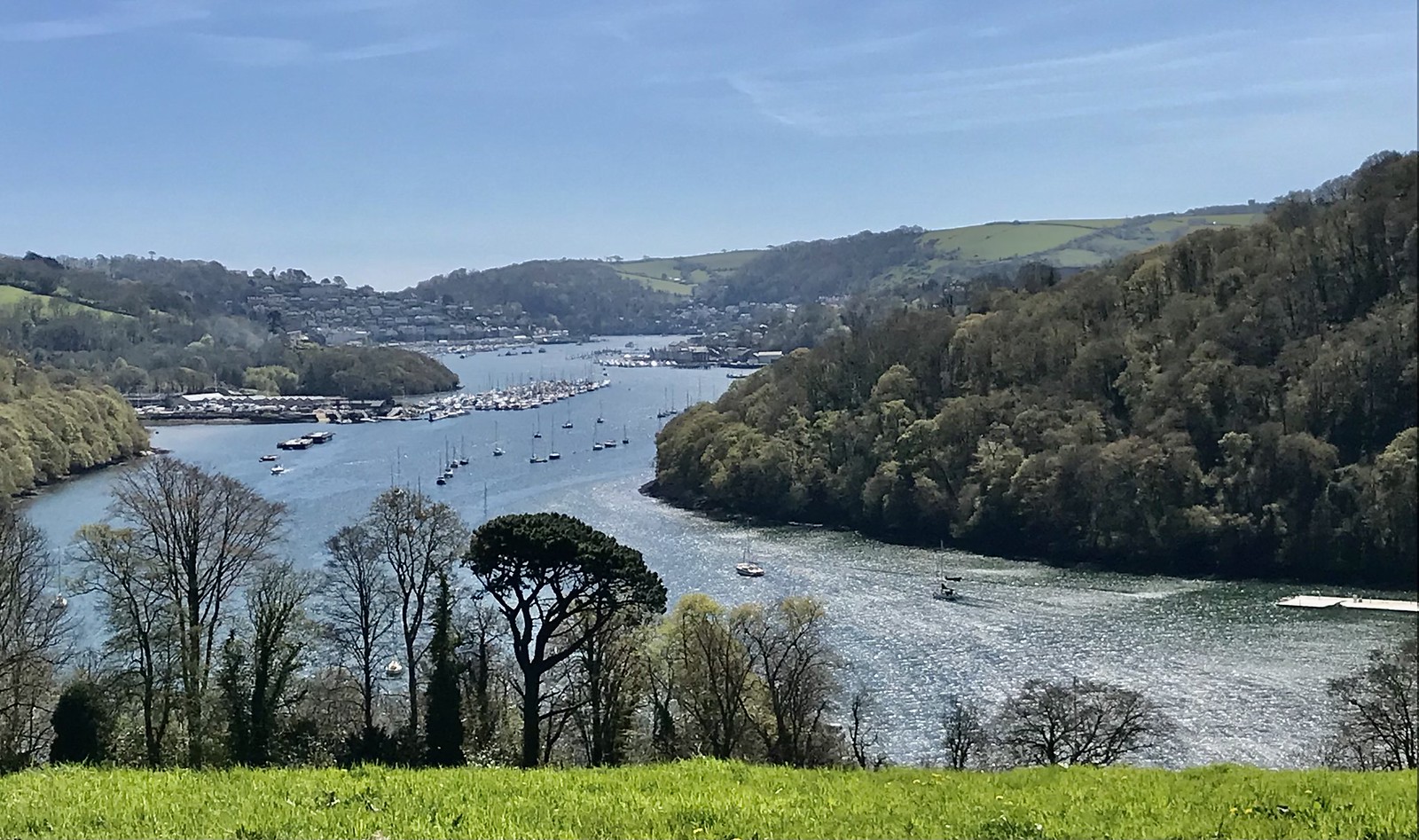 That famous view towards Dartmouth from Greenway - Chris B’s walk - April 18th 2024