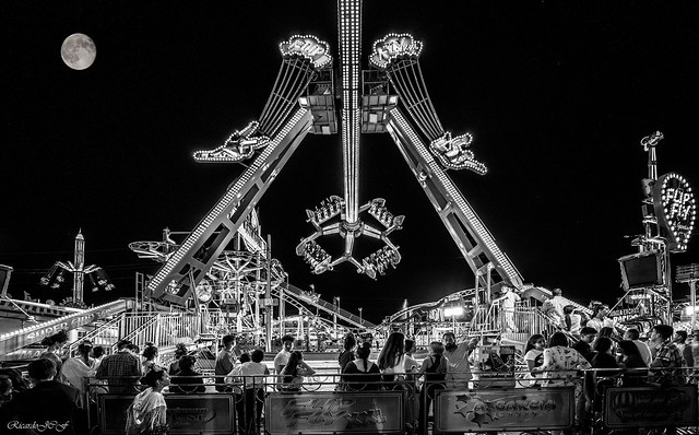 Fair Lights   -   Luces de Feria