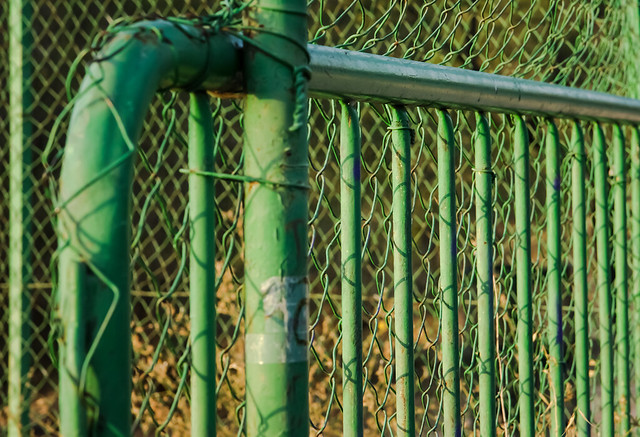 Green fence