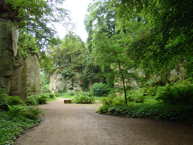 Quarry garden at Belsay Hall