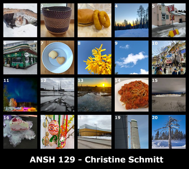 ANSH29-mosaic