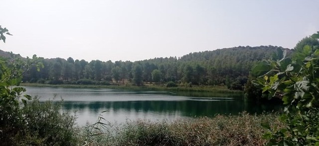 Laguna Salvadora, Lagunas de Ruidera (Albacete, España)