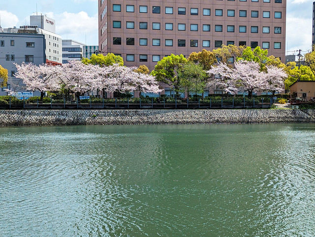 Sakura Hiroshima