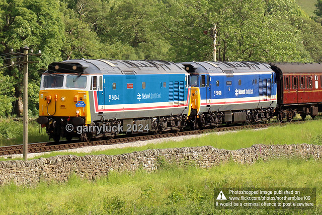 BR Network South East: Class 50 ‘50044 Exeter’ Diesel Locomotive (digital representation)