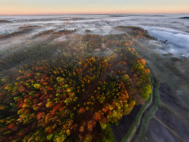 Sonnenaufgang im Frühling bei Bodennebel