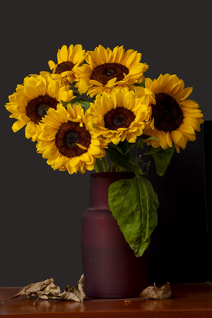 Sunflowers in a Red Vase