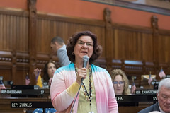 Rep. Cindy Harrison asks questions during a session day debate in the House of Representatives.