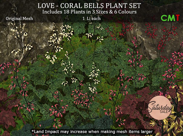 LOVE CORAL BELL PLANTS