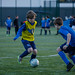 			<p><a href="https://www.flickr.com/people/186437681@N05/">i2i Soccer &amp; Football Academy</a> posted a photo:</p>
	
<p><a href="https://www.flickr.com/photos/186437681@N05/53665346643/" title="i2i Domestic Academy Training"><img src="https://live.staticflickr.com/65535/53665346643_946ebded19_m.jpg" width="240" height="160" alt="i2i Domestic Academy Training" /></a></p>

<p>YORK, ENGLAND - APRIL 16: during an i2i Domestic Academy Training Session at Haxby Road on April 16th 2024 in North Yorkshire, United Kingdom. (Photo by Matthew Appleby)</p>
