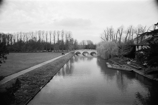 Cam with bridge Rollei RPX400 to 800