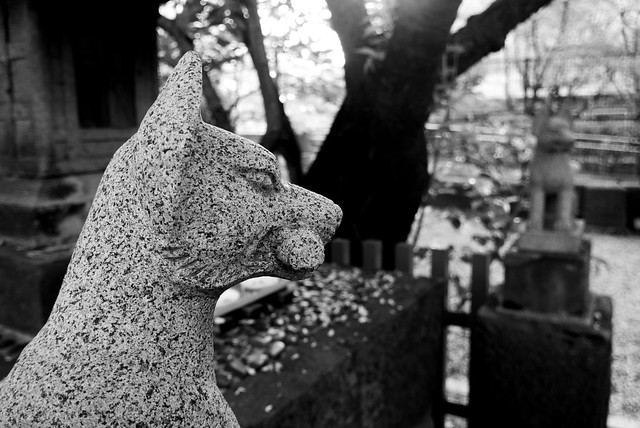 Inari Okami Kitsune (fox) deity