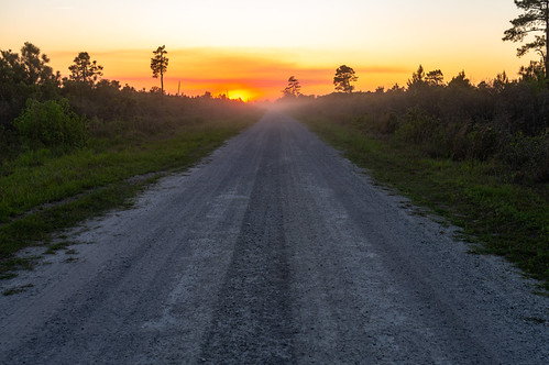 Riding into the Sunset by Tom Ramsey, hollysheltergamelands northcarolina pendercounty pentax art life nature outdoors road sunset hampste