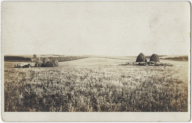 Stacking Hay. Real Photo Postcard.