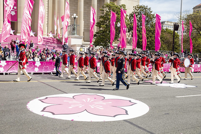 2024 Cherry Blossom Parade Apr 13 2024 U.S. Army Old Guard Fife & Drum Corps (435)