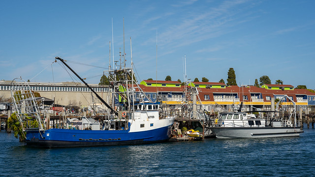 Driscoll's Wharf, America's Cup Harbor