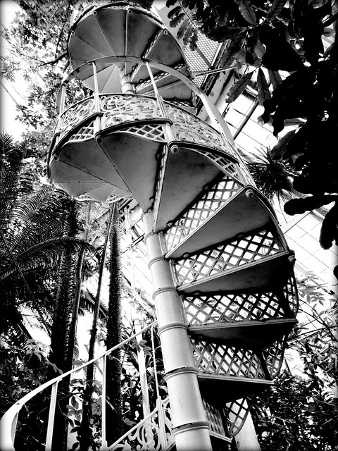 Escalier en colimaçon dans la maison des palmiers (jardin botanique, Copenhague)