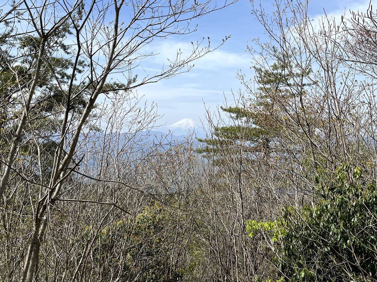 【高尾】生藤山 山頂から眺める富士山の展望