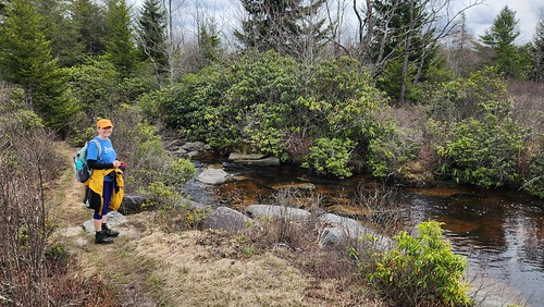 Sarah hiking by yellow Creek 