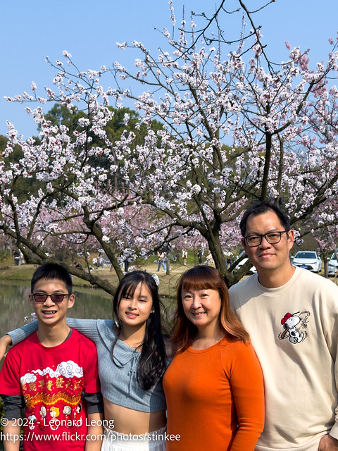 Cherry blossoms at Turtle Head Isle (鼋头渚)