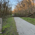GAP 119: Tree fallen on the rail trail Great Allegheny Passage @ Buena Vista, Pennsylvania