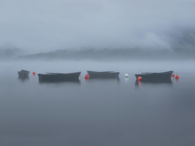Foggy Loch Earn