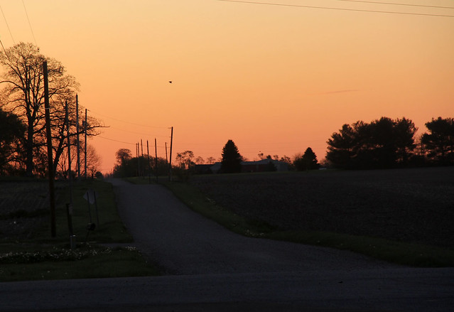 Daybreak on a Country Road