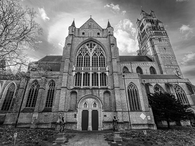 Bruges - St Salvator Cathedral (Monochrome) (Olympus OM-1 & Olympus 8-25mm f4 Wide Angle Zoom) (1 of 1)