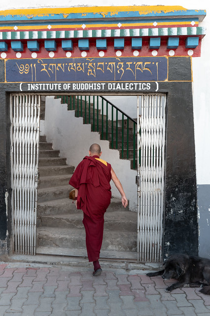 Namgyal Monastery // Dharamshala India
