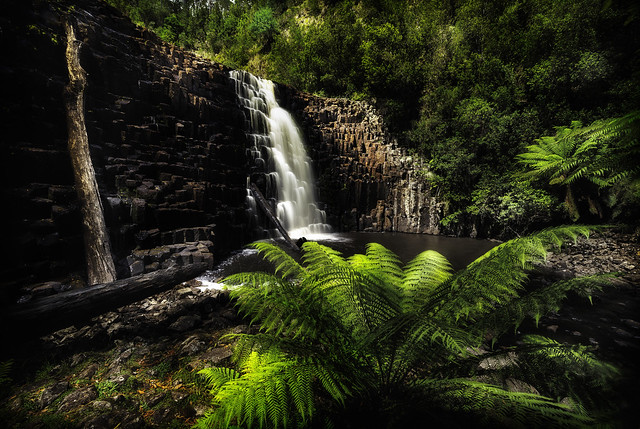 Dip Falls, Tasmania, Australia.