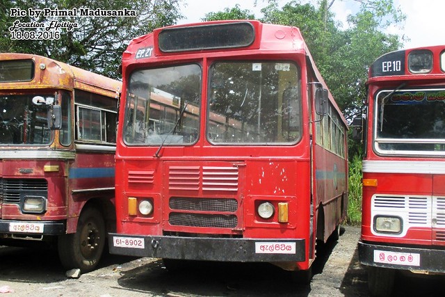 61-8902 Elpitiya (EP) Depot Ashok Leyland - Viking 193 Kesco B type bus at Elpitiya in 18.08.2016