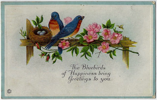 The Bluebirds Of Happiness Bring Greetings To You. Postcard.