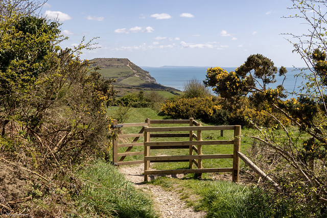 Stonebarrow Hill, Dorset