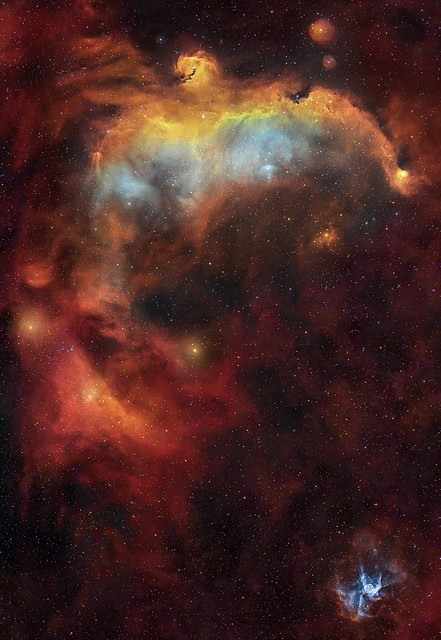 Nebulosa Gabbiano Ic2177 SHO