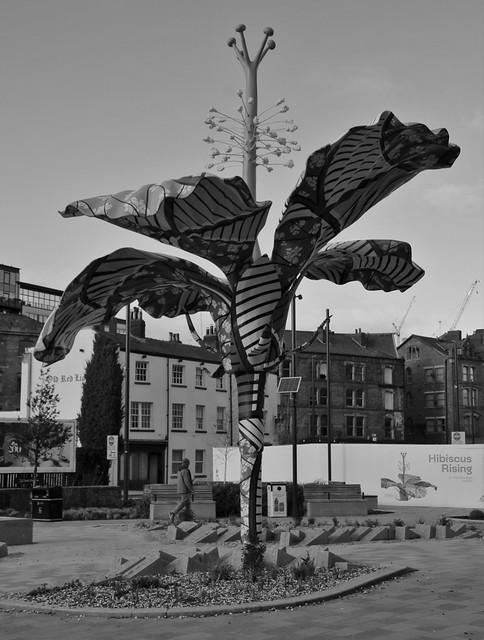 Black & White, Hibiscus Rising: A Memorial For David Oluwale By Yinka Shonibare CBE RA, Leeds, West Yorkshire, England.