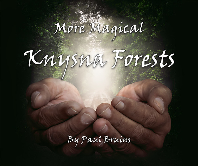 More Magical Knysna Forests - Front Cover