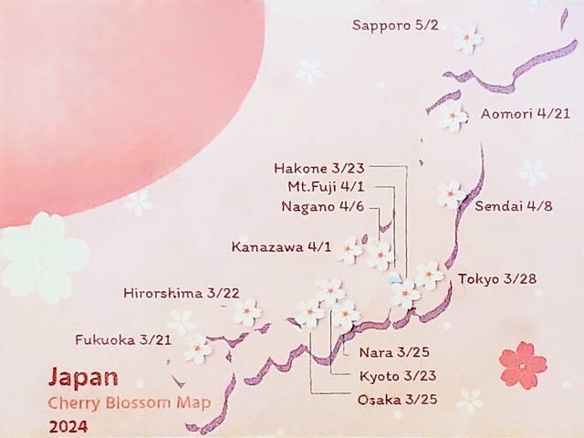 Map of Japan depicting cherry blossom start times for spring 2024