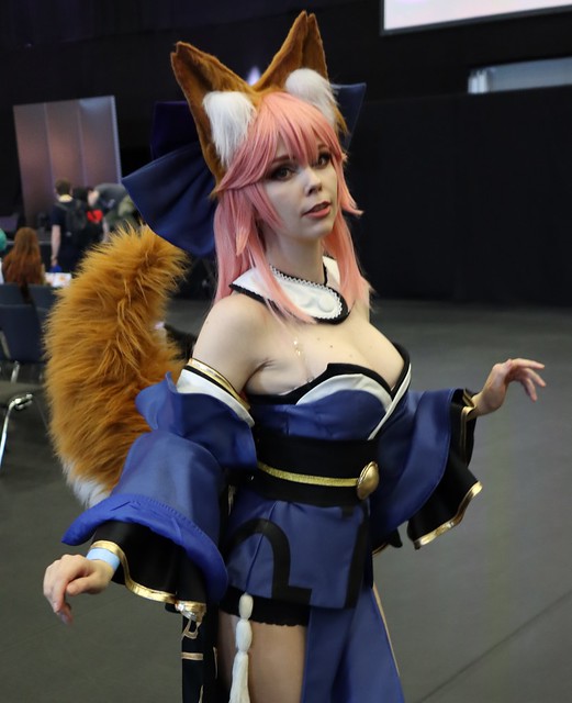 1 (3749) cosplay fox