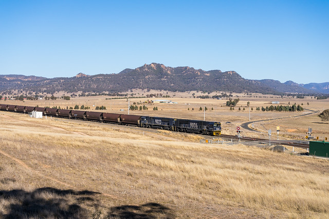 Rail in the Bylong Valley 2018
