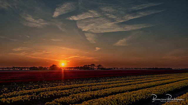 Sunset polder Dirksland