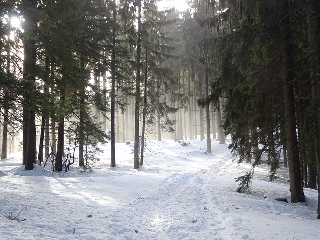 Winter am Blomberg