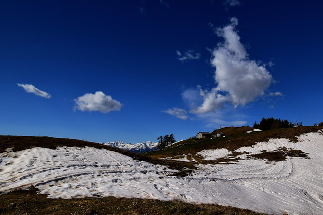 Alpe Granda - Ardenno