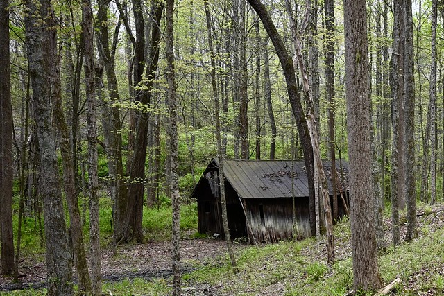 Abandoned Barn in Appalachia