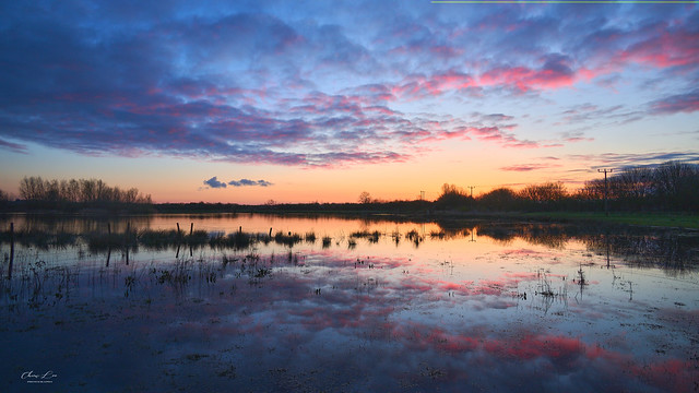 Dawn at the wetlands